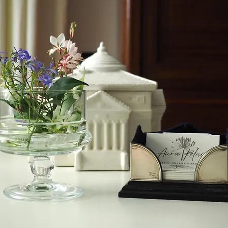 Aura Relais-2